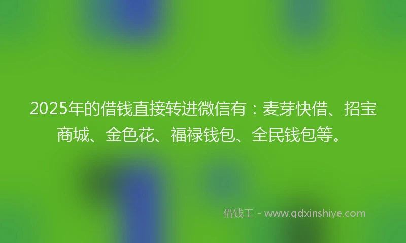 2025年的借钱直接转进微信有：麦芽快借、招宝商城、金色花、福禄钱包、全民钱包等。
