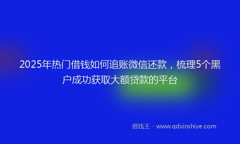 2025年热门借钱如何追账微信还款，梳理5个黑户成功获取大额贷款的平台