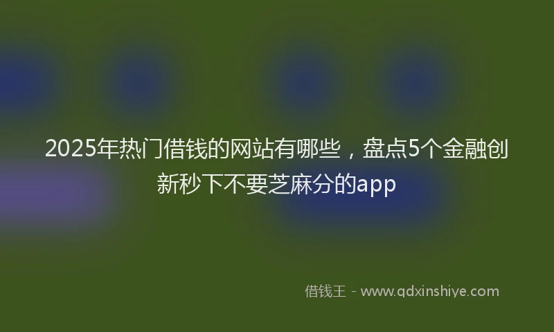 2025年热门借钱的网站有哪些，盘点5个金融创新秒下不要芝麻分的app