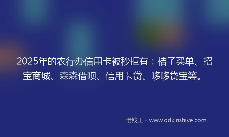 2025年的农行办信用卡被秒拒有：桔子买单、招宝商城、森森借呗、信用卡贷、哆哆贷宝等。
