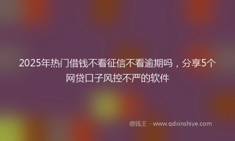 2025年热门借钱不看征信不看逾期吗，分享5个网贷口子风控不严的软件