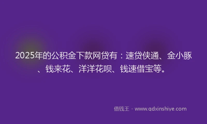 2025年的公积金下款网贷有：速贷侠通、金小豚、钱来花、洋洋花呗、钱速借宝等。