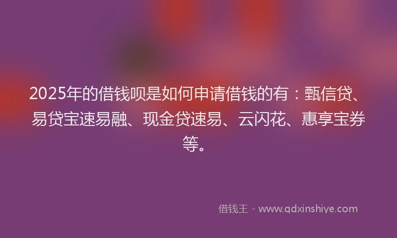 2025年的借钱呗是如何申请借钱的有：甄信贷、易贷宝速易融、现金贷速易、云闪花、惠享宝券等。