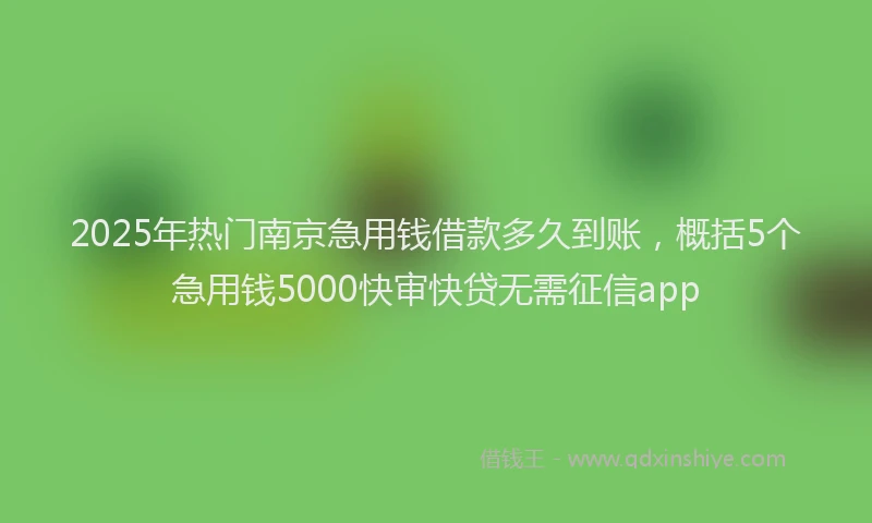 2025年热门南京急用钱借款多久到账，概括5个急用钱5000快审快贷无需征信app