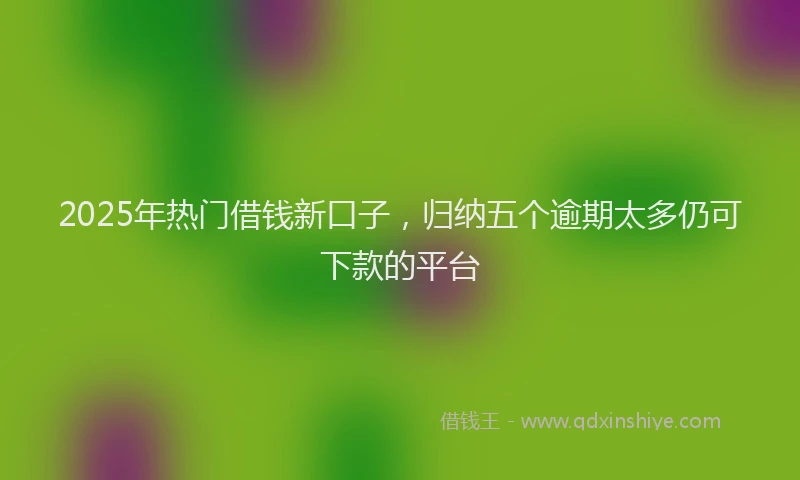2025年热门借钱新口子，归纳五个逾期太多仍可下款的平台