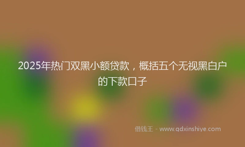 2025年热门双黑小额贷款，概括五个无视黑白户的下款口子
