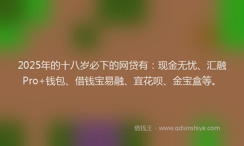 2025年的十八岁必下的网贷有：现金无忧、汇融Pro+钱包、借钱宝易融、宜花呗、金宝盒等。