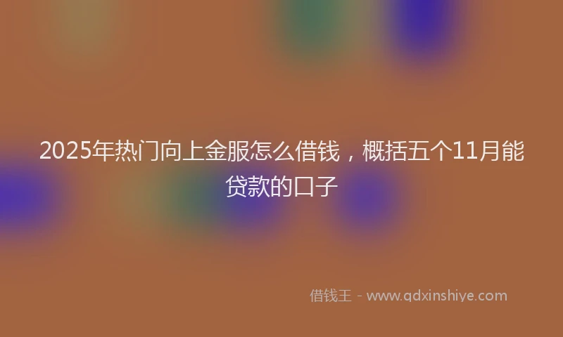 2025年热门向上金服怎么借钱，概括五个11月能贷款的口子