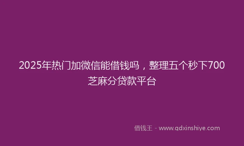 2025年热门加微信能借钱吗，整理五个秒下700芝麻分贷款平台