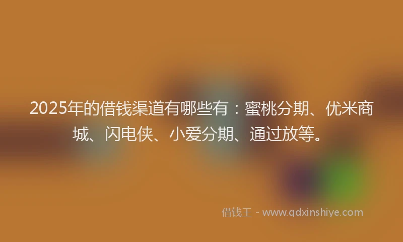 2025年的借钱渠道有哪些有：蜜桃分期、优米商城、闪电侠、小爱分期、通过放等。