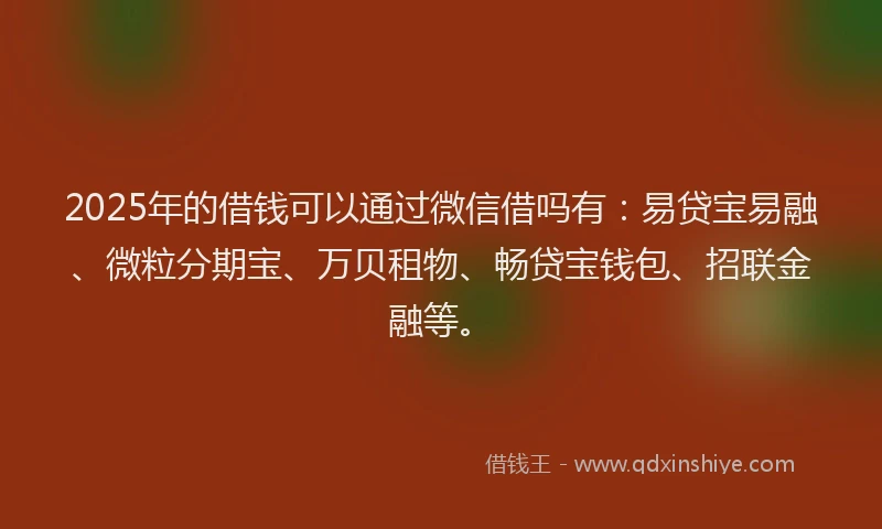 2025年的借钱可以通过微信借吗有：易贷宝易融、微粒分期宝、万贝租物、畅贷宝钱包、招联金融等。