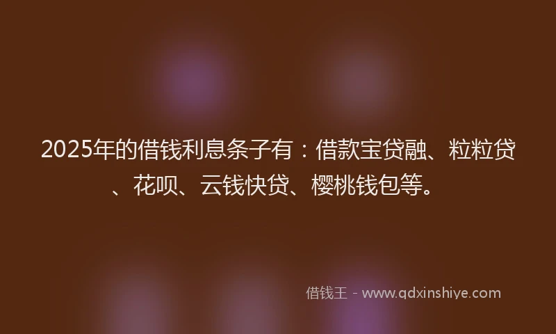2025年的借钱利息条子有：借款宝贷融、粒粒贷、花呗、云钱快贷、樱桃钱包等。