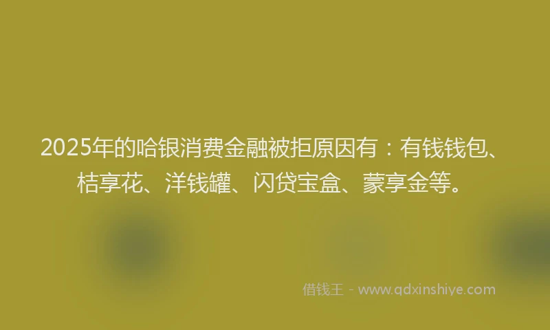 2025年的哈银消费金融被拒原因有：有钱钱包、桔享花、洋钱罐、闪贷宝盒、蒙享金等。
