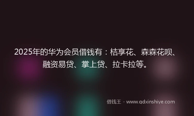 2025年的华为会员借钱有：桔享花、森森花呗、融资易贷、掌上贷、拉卡拉等。