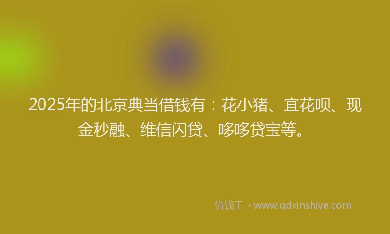 2025年的北京典当借钱有：花小猪、宜花呗、现金秒融、维信闪贷、哆哆贷宝等。