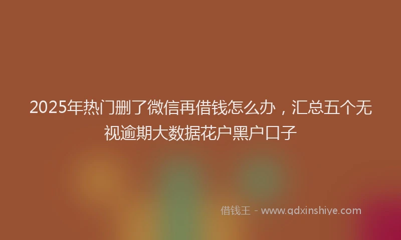 2025年热门删了微信再借钱怎么办，汇总五个无视逾期大数据花户黑户口子