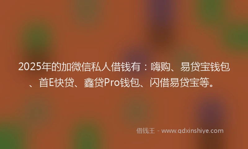 2025年的加微信私人借钱有：嗨购、易贷宝钱包、首E快贷、鑫贷Pro钱包、闪借易贷宝等。