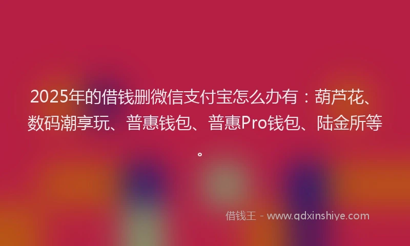 2025年的借钱删微信支付宝怎么办有：葫芦花、数码潮享玩、普惠钱包、普惠Pro钱包、陆金所等。