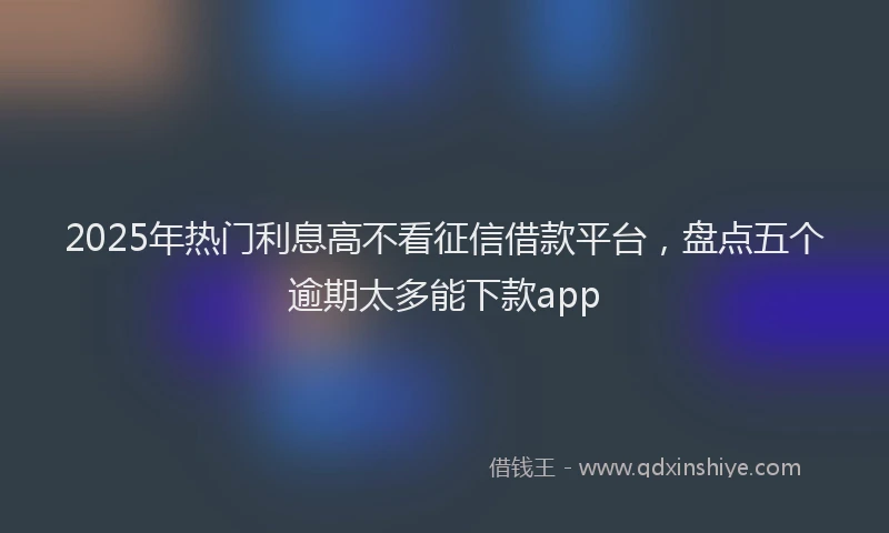 2025年热门利息高不看征信借款平台，盘点五个逾期太多能下款app