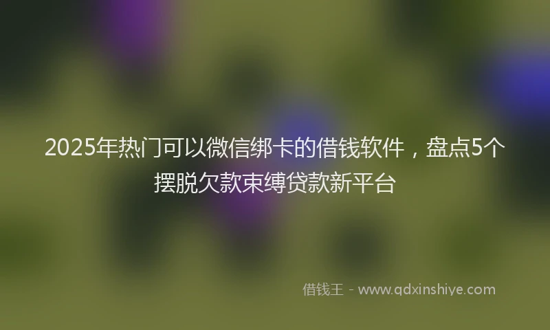 2025年热门可以微信绑卡的借钱软件，盘点5个摆脱欠款束缚贷款新平台