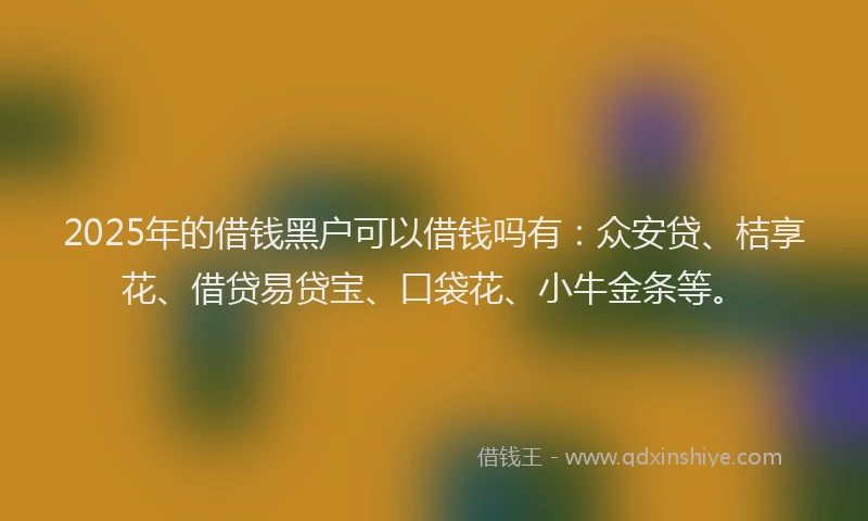 2025年的借钱黑户可以借钱吗有：众安贷、桔享花、借贷易贷宝、口袋花、小牛金条等。
