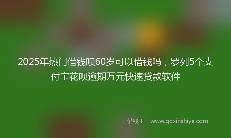 2025年热门借钱呗60岁可以借钱吗，罗列5个支付宝花呗逾期万元快速贷款软件