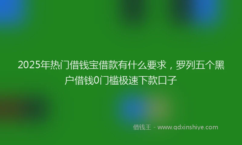 2025年热门借钱宝借款有什么要求，罗列五个黑户借钱0门槛极速下款口子