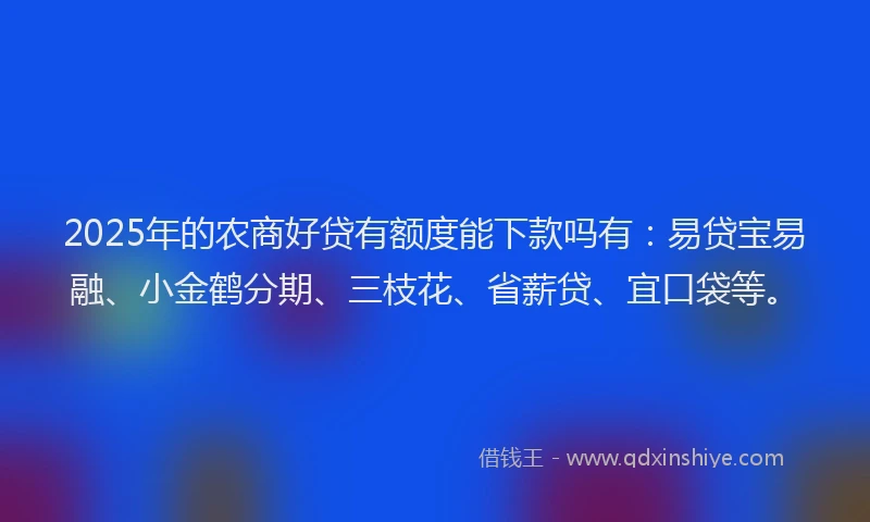 2025年的农商好贷有额度能下款吗有：易贷宝易融、小金鹤分期、三枝花、省薪贷、宜口袋等。