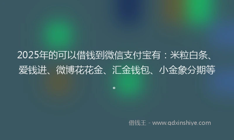 2025年的可以借钱到微信支付宝有：米粒白条、爱钱进、微博花花金、汇金钱包、小金象分期等。