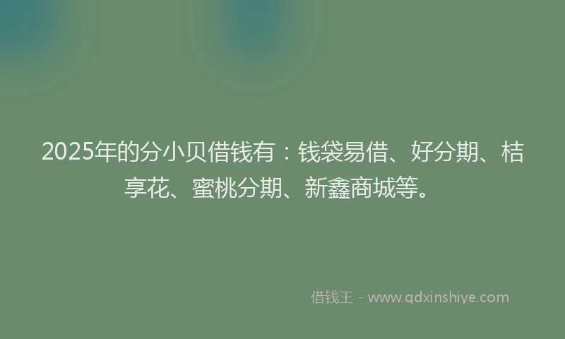 2025年的分小贝借钱有：钱袋易借、好分期、桔享花、蜜桃分期、新鑫商城等。