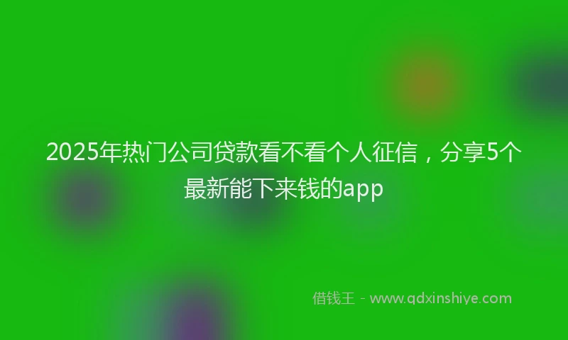 2025年热门公司贷款看不看个人征信，分享5个最新能下来钱的app