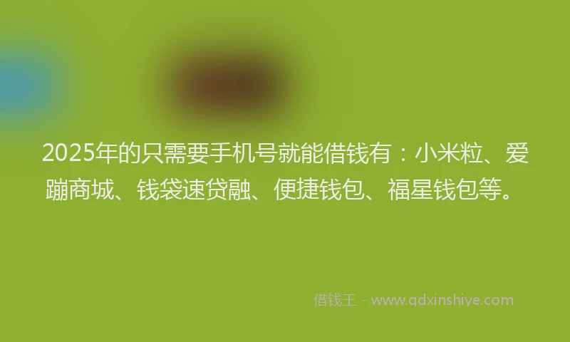 2025年的只需要手机号就能借钱有：小米粒、爱蹦商城、钱袋速贷融、便捷钱包、福星钱包等。