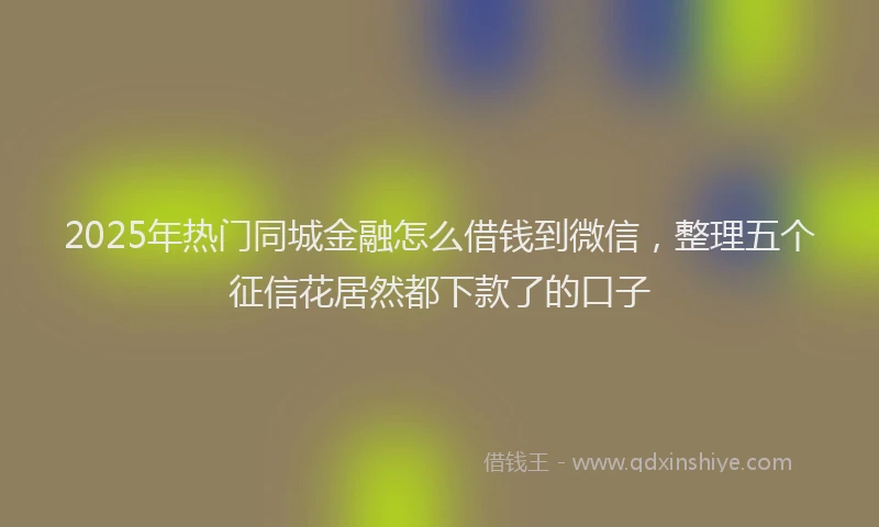 2025年热门同城金融怎么借钱到微信，整理五个征信花居然都下款了的口子
