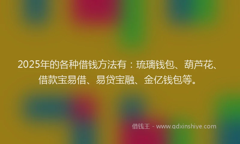 2025年的各种借钱方法有：琉璃钱包、葫芦花、借款宝易借、易贷宝融、金亿钱包等。