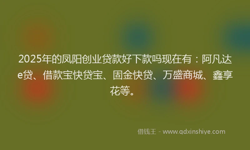 2025年的凤阳创业贷款好下款吗现在有：阿凡达e贷、借款宝快贷宝、固金快贷、万盛商城、鑫享花等。