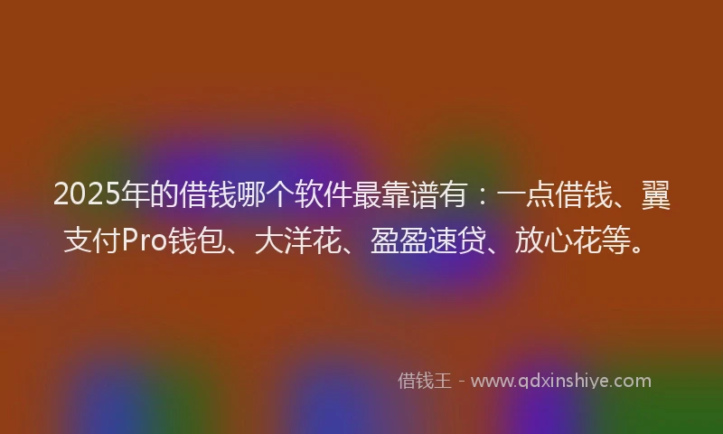 2025年的借钱哪个软件最靠谱有：一点借钱、翼支付Pro钱包、大洋花、盈盈速贷、放心花等。