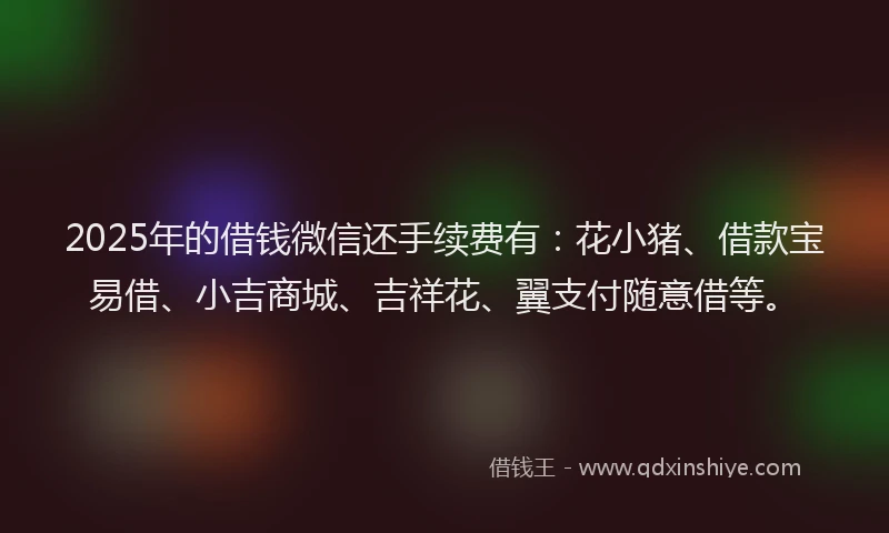 2025年的借钱微信还手续费有：花小猪、借款宝易借、小吉商城、吉祥花、翼支付随意借等。