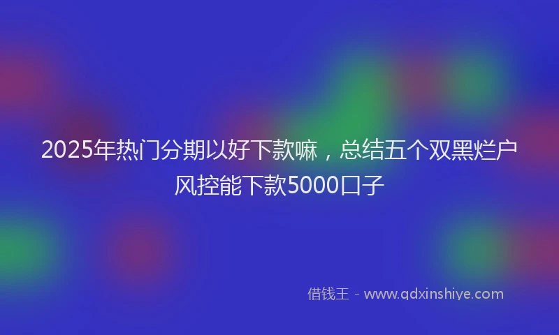 2025年热门分期以好下款嘛，总结五个双黑烂户风控能下款5000口子