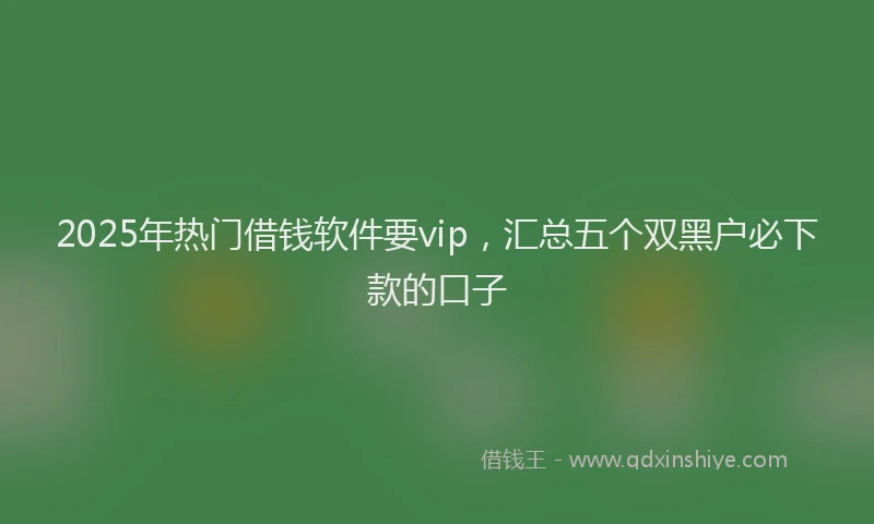 2025年热门借钱软件要vip，汇总五个双黑户必下款的口子