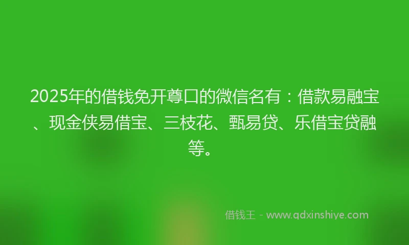 2025年的借钱免开尊口的微信名有：借款易融宝、现金侠易借宝、三枝花、甄易贷、乐借宝贷融等。