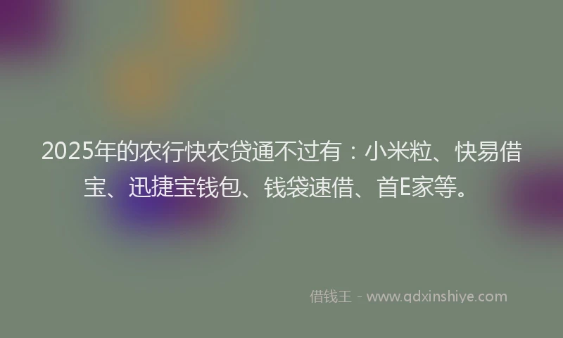 2025年的农行快农贷通不过有：小米粒、快易借宝、迅捷宝钱包、钱袋速借、首E家等。