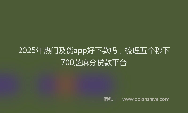 2025年热门及货app好下款吗，梳理五个秒下700芝麻分贷款平台