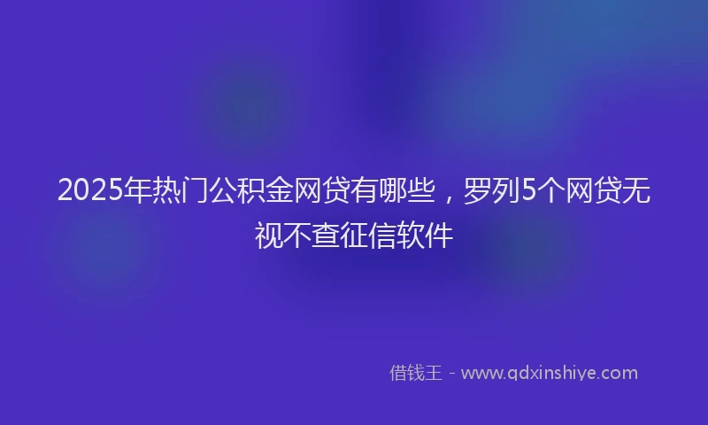 2025年热门公积金网贷有哪些，罗列5个网贷无视不查征信软件