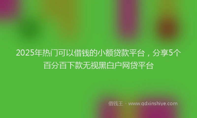 2025年热门可以借钱的小额贷款平台，分享5个百分百下款无视黑白户网贷平台