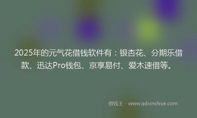 2025年的元气花借钱软件有：银杏花、分期乐借款、迅达Pro钱包、京享易付、爱木速借等。