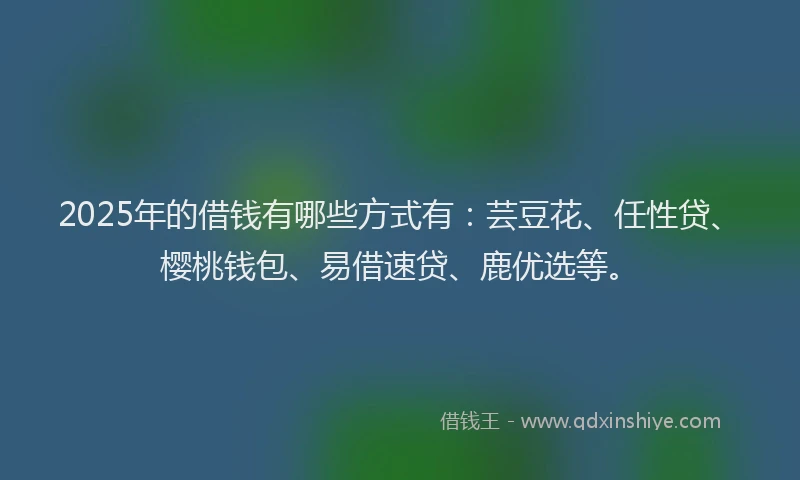 2025年的借钱有哪些方式有：芸豆花、任性贷、樱桃钱包、易借速贷、鹿优选等。