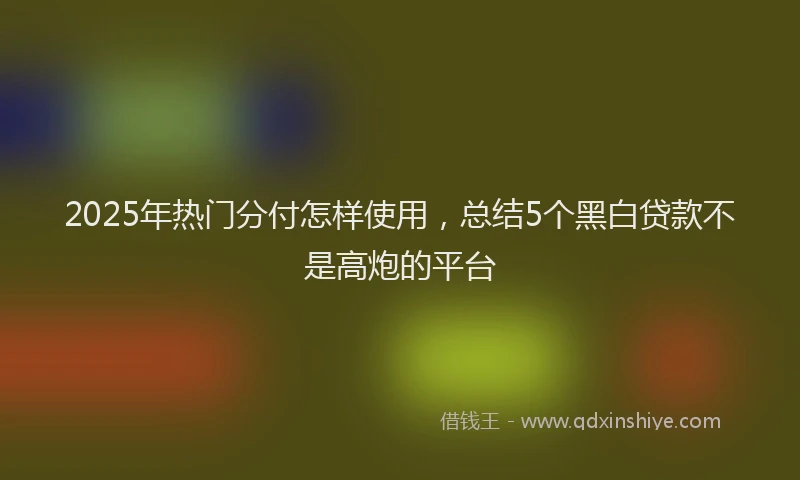 2025年热门分付怎样使用，总结5个黑白贷款不是高炮的平台