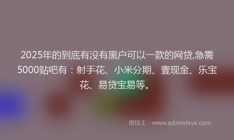 2025年的到底有没有黑户可以一款的网贷,急需5000贴吧有：射手花、小米分期、壹现金、乐宝花、易贷宝易等。