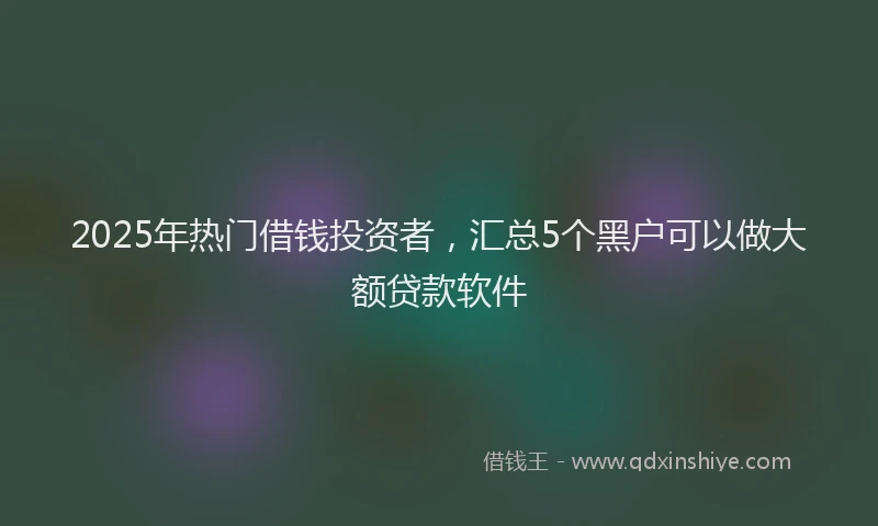 2025年热门借钱投资者，汇总5个黑户可以做大额贷款软件