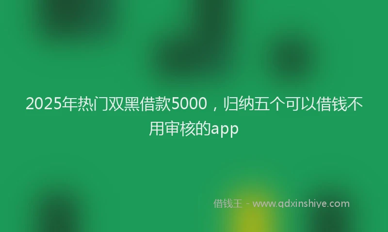 2025年热门双黑借款5000，归纳五个可以借钱不用审核的app